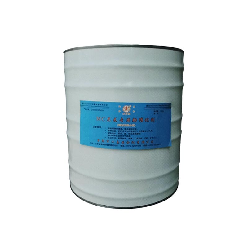 Nylon Co-catalysts